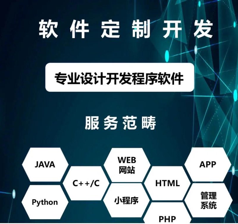 软件定制开发引领企业数字化转型之旅